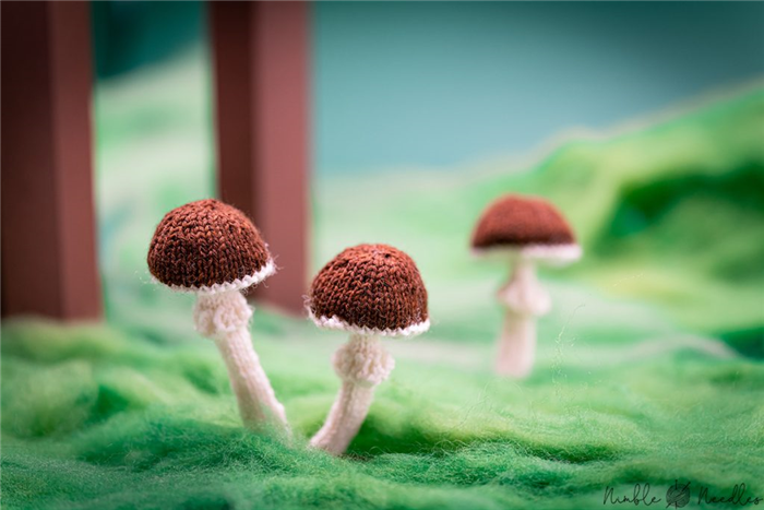 еще одна фотография грибов на лугу