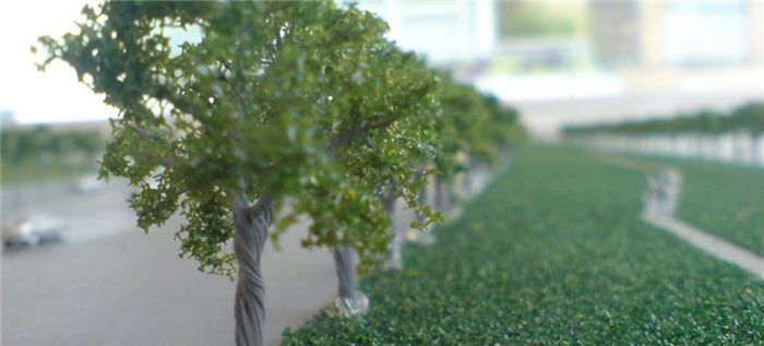 Ряд миниатюрных моделей деревьев